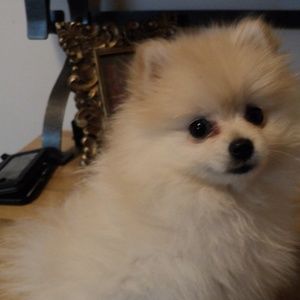 Penelope is saying :" Nice to meet you! "